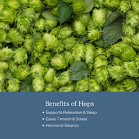 Thumbnail for Eclectic Herb - Hops Capsules | Natural Relaxation & Sleep Support | Antioxidant Support | Herbal Supplement | Vegan, Non-GMO, Gluten Free, Freeze-Dried (90 CT | 200 mg)