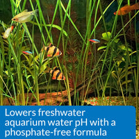 Thumbnail for API Aquarium Pharmaceuticals 30B pH Down Aquarium pH Adjuster, 16 oz, Model Number: 17163020301, Hook
