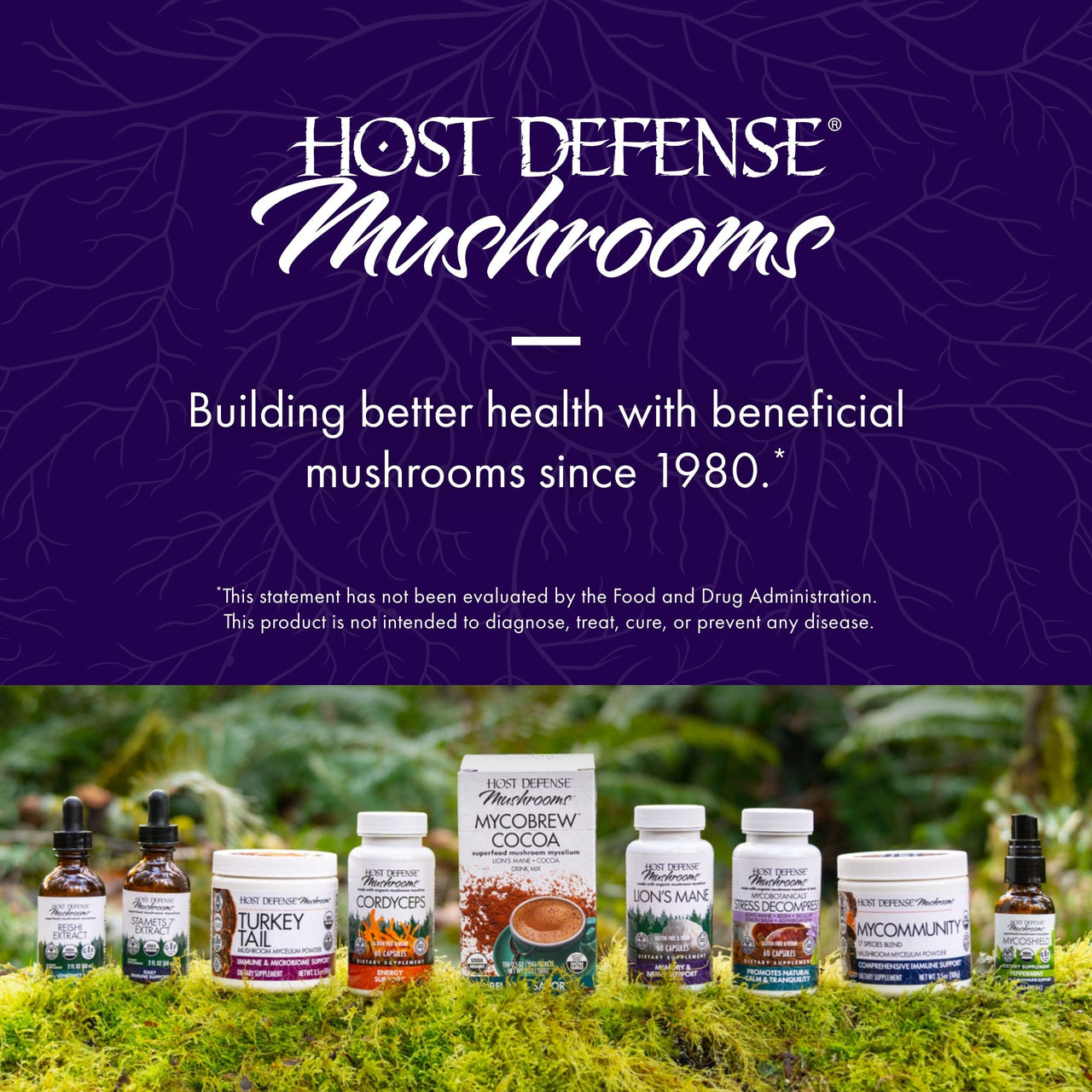 Host Defense Mushrooms Lion's Mane - Supplement Capsules for Brain Health Support - Mushroom Support for Focus & Memory Function - Immune & Nervous System Supplement - 60 Capsules (30 Servings)*