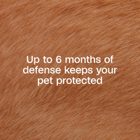 Thumbnail for ADAMS Flea & Tick Collar for Dogs & Puppies, Flea Collar for 12 Month Prevention, Kills Fleas, Ticks & Repels Mosquitoes, Excluding California, One Size Fits All Dogs & Puppies, 2 Count