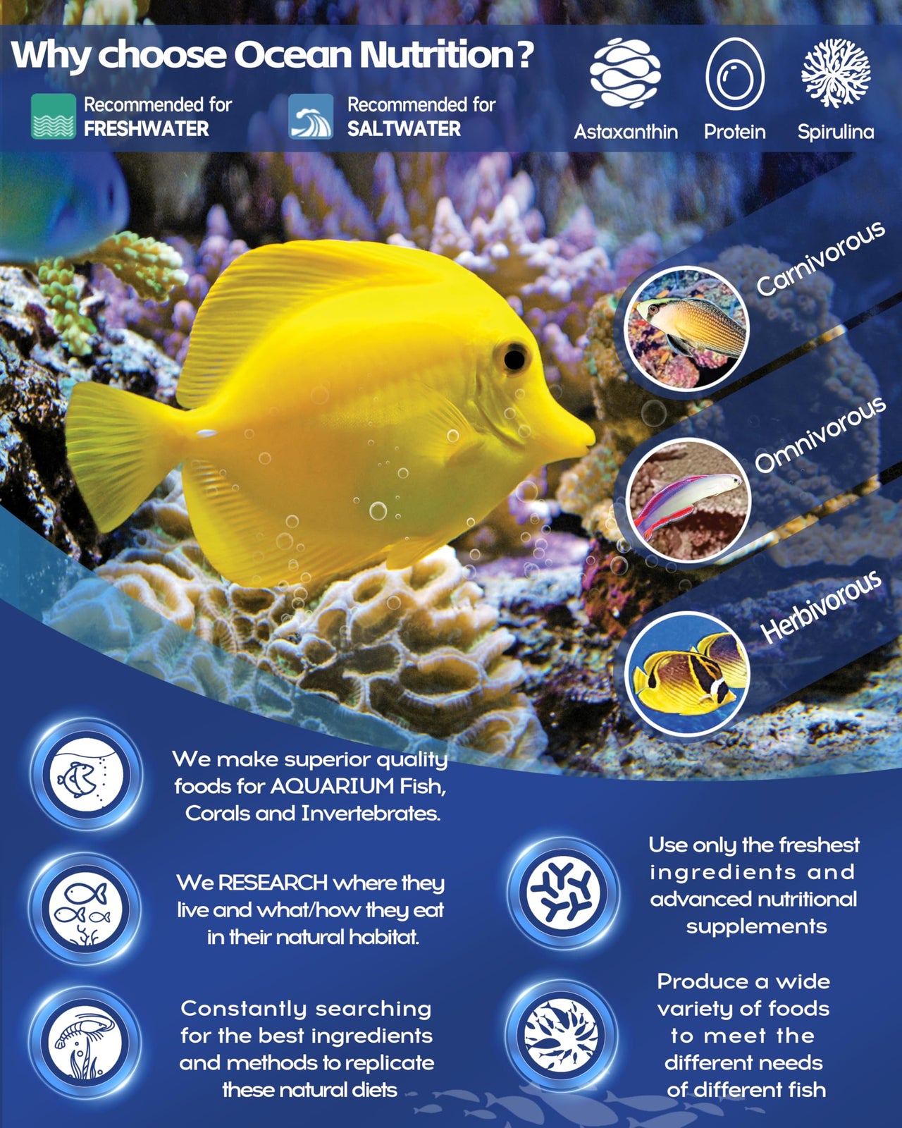 Ocean Nutrition Fish Food - Cichlid Fish Food, High Protein Fish Flakes, Tropical Fish Flakes, Ideal Cichlid Food for Angelfish, Kribensis, Ram Cichlids and More, Made in The USA, 1.2 oz (34 g)