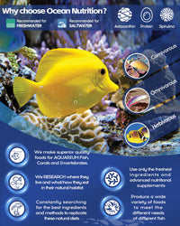 Thumbnail for Ocean Nutrition Fish Food - Cichlid Fish Food, High Protein Fish Flakes, Tropical Fish Flakes, Ideal Cichlid Food for Angelfish, Kribensis, Ram Cichlids and More, Made in The USA, 1.2 oz (34 g)