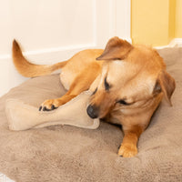 Thumbnail for SPOT Dura-Fused Leather Bone- Durable Dog Toy with Squeaker, Real Leather & Jute Fabric, Interactive Toy for Moderate & Aggressive Chewers, Medium & Large Dogs and Puppies, 9 inch