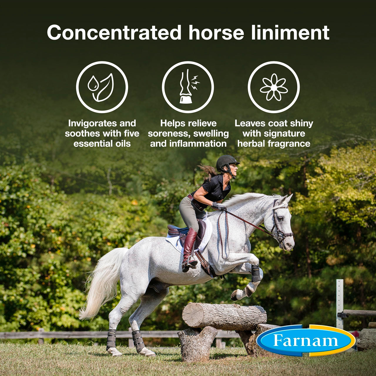 Farnam Vetrolin Horse Liniment for Muscle Soreness, Stiffness and Inflammation Relief on Horses, Helps Reduce Swelling, Aids in Pain Relief, 32 Oz.