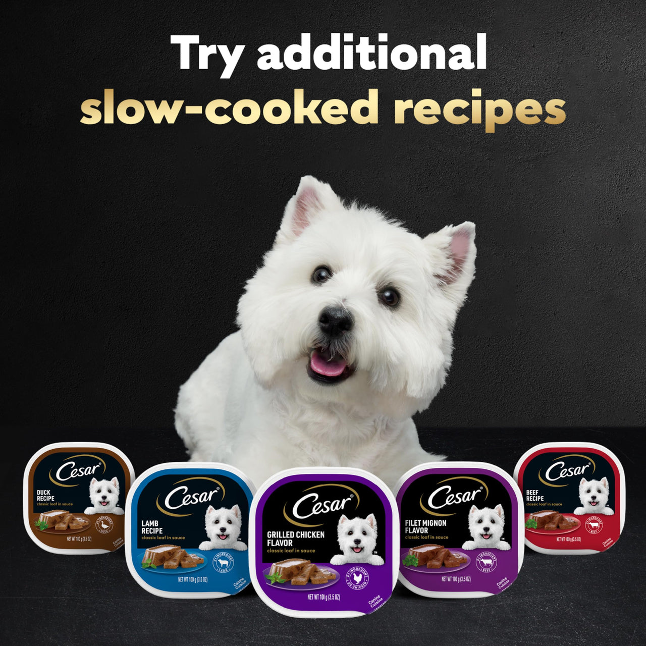 Cesar Wet Dog Food Classic Loaf in Sauce, Duck Recipe, Oven Roasted Chicken Flavor, Grilled Chicken Flavor, and Turkey Flavor, 3.5 oz. Easy Peel Trays, Variety Pack, 24 Count