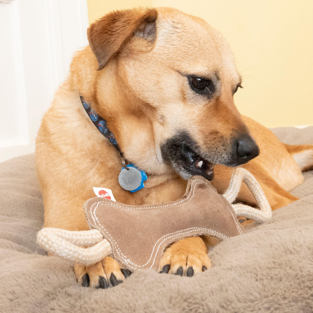 SPOT Dura-Fused Leather Bone Tug Dog Toy – Durable Real Leather & Jute Chew Toy with Double Rope Handles & Squeaker, For Moderate Chewers, 18in