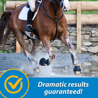 Thumbnail for Farnam Fluidflex Liquid Joint Supplement for Horses, Helps Maintain Healthy Hip & Joint Function, 32 Ounces 32 Day Supply