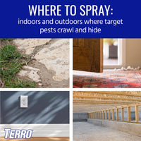 Thumbnail for TERRO T2302-6 Spider Killer Spray for Indoors and Outdoors - Kills Spiders, Ants, Roaches, Scorpions, Ticks, Silverfish, and Other Insects