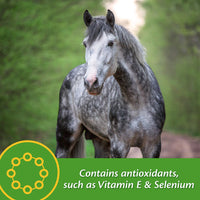 Thumbnail for Farnam Vita Plus Balanced Multi-Vitamin & Mineral horse Supplement, Provides balanced nutrition to support overall health and performance, 7.5 pounds, 60 day supply