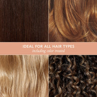 Thumbnail for DAE Signature Shampoo - Cleanses & Hydrates Dry Hair & Scalp (10 oz.)