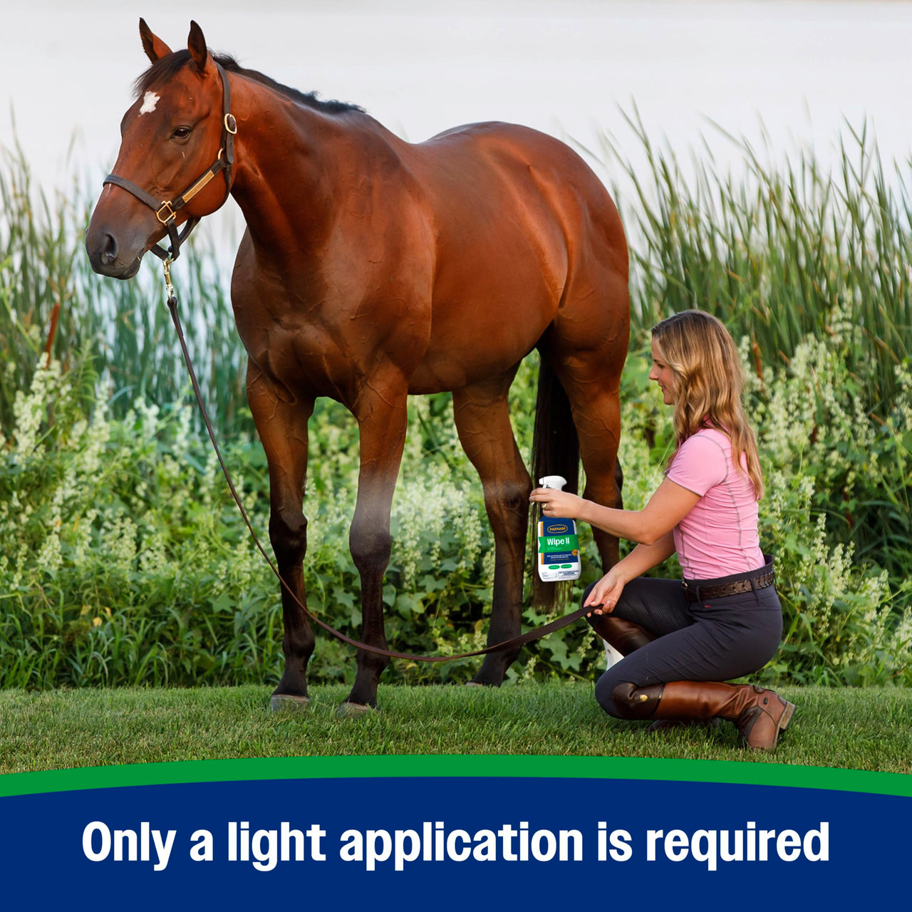 Farnam Wipe II Brand Horse Fly Spray with Citronella, Kills and Repels Flies, Conditions Coats, 32 oz