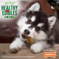 Thumbnail for Nylabone Healthy Edibles Natural Puppy Chews Long Lasting Treats for Puppies, Lamb & Apple Flavor, Small/Regular (3 Count)