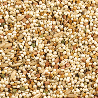 Thumbnail for Wild Harvest Daily Blend Nutrition Diet for Parakeet, Canary and Finch 10 Pounds, Orange flavour