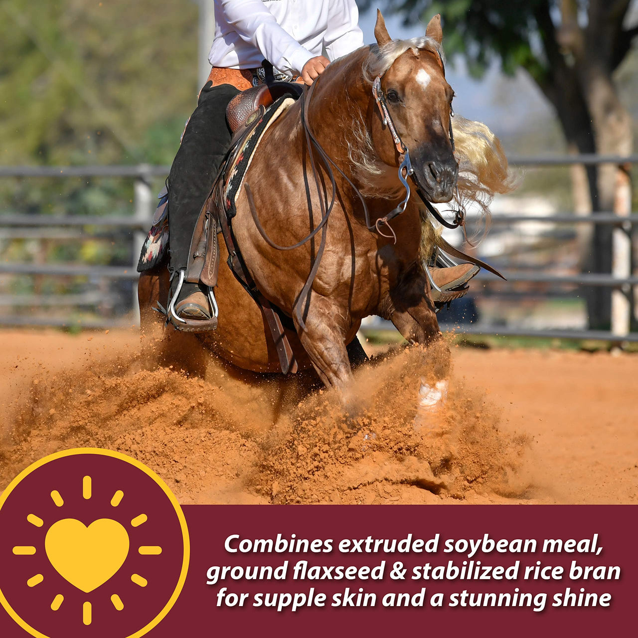 Farnam Laser Sheen Skin & Coat Supplement for Horses, Promotes Healthy Skin & Radiant Coat from The Inside Out, 3.75 Pounds 30 Day Supply