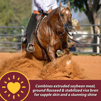 Thumbnail for Farnam Laser Sheen Skin & Coat Supplement for Horses, Promotes Healthy Skin & Radiant Coat from The Inside Out, 3.75 Pounds 30 Day Supply