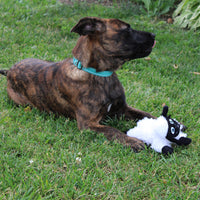 Thumbnail for SPOT Baa Baa Black Sheep Plush Dog Toy - Cute and Cuddly Fleece Toy with Squeaker for Small Dogs and Puppies, 8in Black and White Lamb