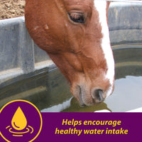 Thumbnail for Farnam Horse Health Apple-Dex Apple Flavored Electrolytes for Horses 5 pound