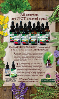 Thumbnail for Nature's Answer Schisandra Berry Extract - Alcohol Free, Gluten Free, Stress, Fatigue, Relaxing Support - Made in USA - Adrenal Support Supplements for Everyone