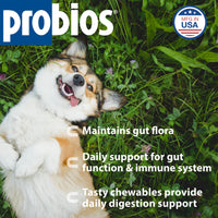 Thumbnail for Probios Digestive Support Chewables for Dogs, Daily Probiotic Supplement for Gut Health, Digestion & Immune Support, 1 lb