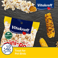 Thumbnail for Vitakraft Mini-Pop Corn Cob Bird Treat 6 Ounce (Pack of 1)