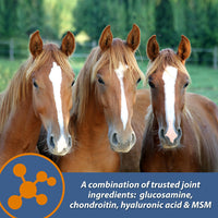 Thumbnail for Farnam MaxFlex XR Extended Release Joint Supplement for Horses, Provides a continuous supply of joint health ingredients for 24 hours, 0.9375 pound, 30 Day Supply