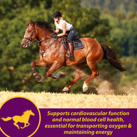 Thumbnail for Farnam Horse Health Red Cell Pellets, Vitamin-Iron-Mineral Supplement for Horses, Helps Fill Important Nutritional Gaps in Horse's Diet, 4 lbs., 64-Day Supply