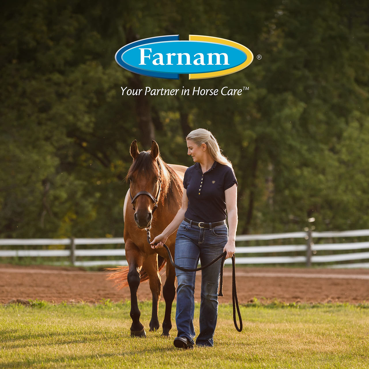 Farnam Roll-On Fly Repellent for Horses, Ponies and Dogs 2 Ounces