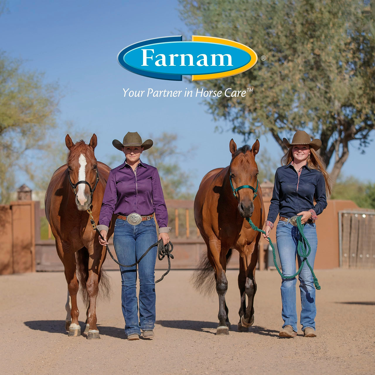 Farnam Apple Elite Horse Electrolytes Powder Supplement, Replaces Vital Minerals, Encourages Hydration, Sugar-Free, Contains Sodium, Potassium, Calcium & Magnesium, Apple Flavored, 5 lb