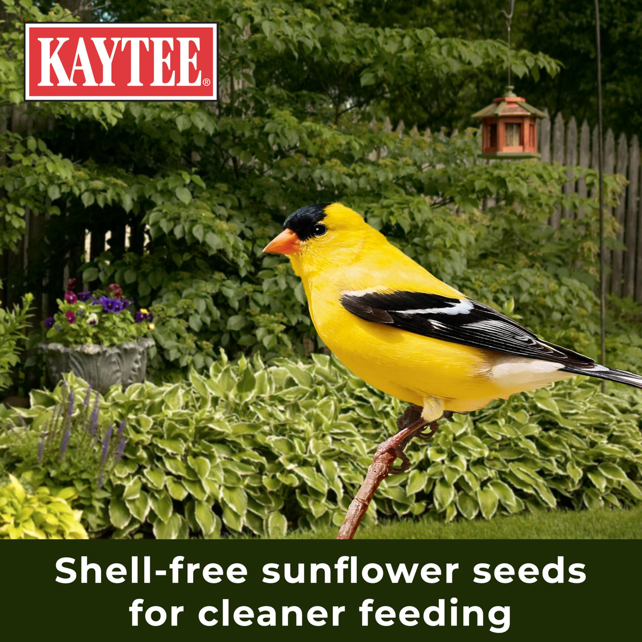 Kaytee No Mess Finch Seed and Nyjer Blend, Attracts Goldfinches, Chickadees, Junos, Finches and Other Wild Birds, 8 Pounds