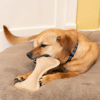 Thumbnail for SPOT Dura-Fused Leather Bone- Durable Dog Toy with Squeaker, Real Leather & Jute Fabric, Interactive Toy for Moderate & Aggressive Chewers, Medium & Large Dogs and Puppies, 9 inch