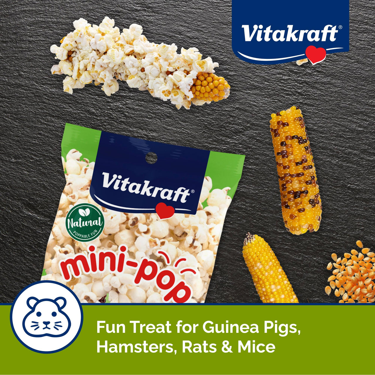 Vitakraft Mini-Pop Treat for Small Animals 6 oz – All-Natural Single-Ingredient Snack - Serve Popped or Unpopped – Enrichment, Chewing, Fun, Natural Teeth Wear – Rabbit, Hamster, Gerbil, Guinea Pig