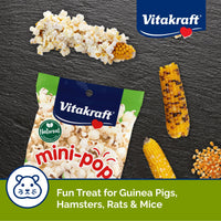 Thumbnail for Vitakraft Mini-Pop Treat for Small Animals 6 oz – All-Natural Single-Ingredient Snack - Serve Popped or Unpopped – Enrichment, Chewing, Fun, Natural Teeth Wear – Rabbit, Hamster, Gerbil, Guinea Pig