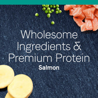 Thumbnail for Canidae Pure Limited Ingredient Premium Dry Cat Food, Real Salmon Recipe, 5 lbs, Grain Free
