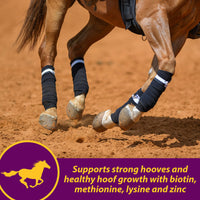 Thumbnail for Horse Health Joint Combo Hoof & Coat, Glucosamin, Chrondroitin, Vitamin C, MSM, Biotin, Lysine, ZInc, Omega 3 and 6 Fatty Acids, 64 day supply