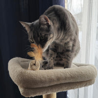 Thumbnail for SPOT Naturals Silver Vine Cat Toy – Natural Interactive Enrichment for Cats, Stimulates Play and Reduces Stress, Durable and Safe, Perfect for Indoor Cats and Kittens, Assorted Styles, 1 Piece