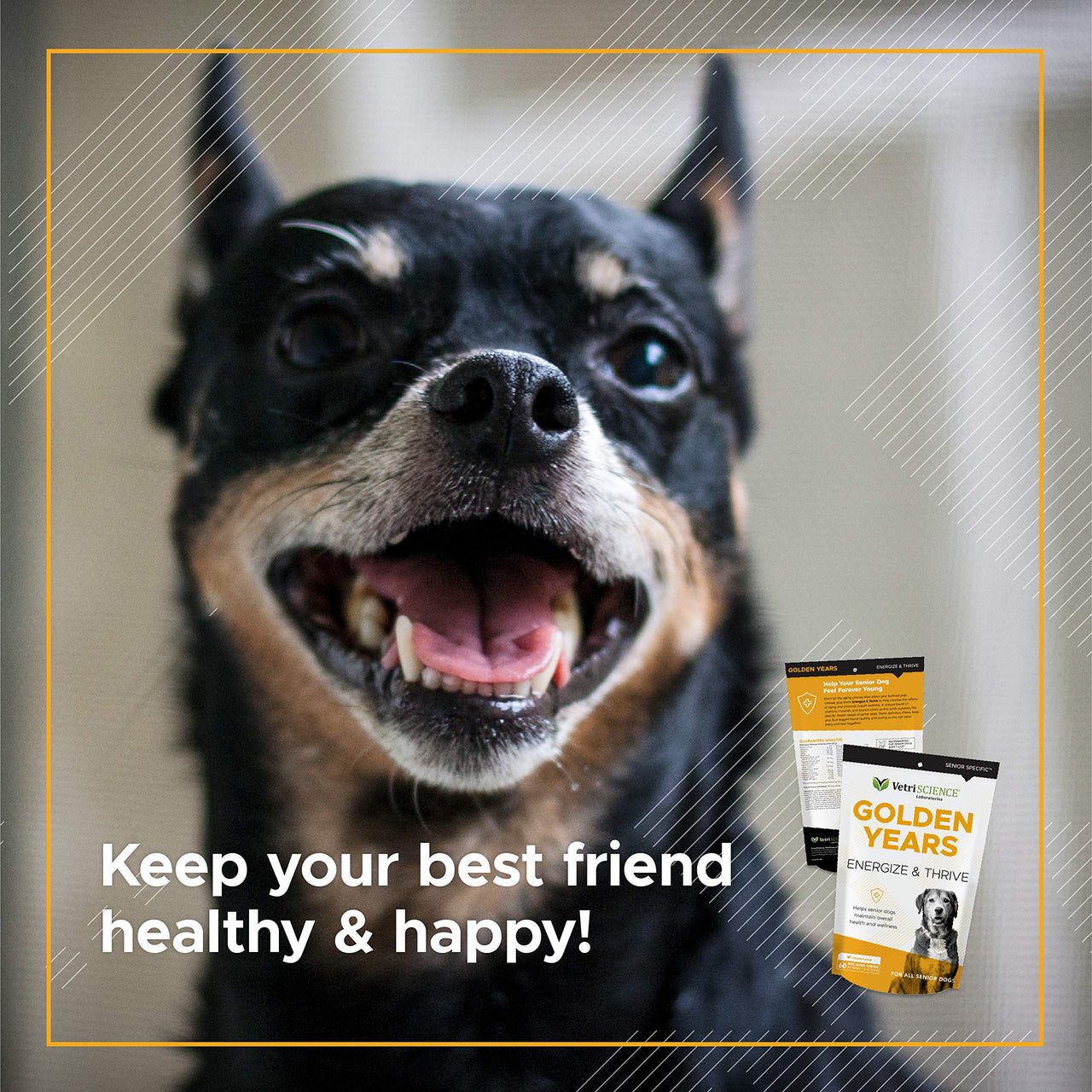 VetriScience Extra Strength Senior 27+ Active Health Chews, Golden Years Daily Multivitamin for Senior Dogs, Balanced Vitamins, Minerals, and Omega-3s, Aging and Wellness Support, Chicken, 60 Count