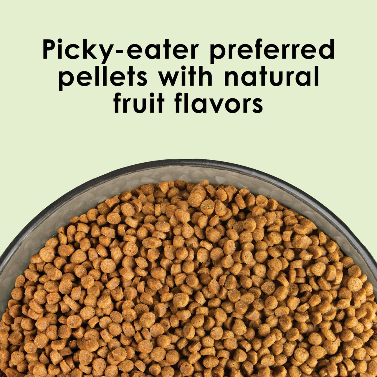 Kaytee Nutri Soft Pet Parrot & Conure Bird Food, 3 Pound