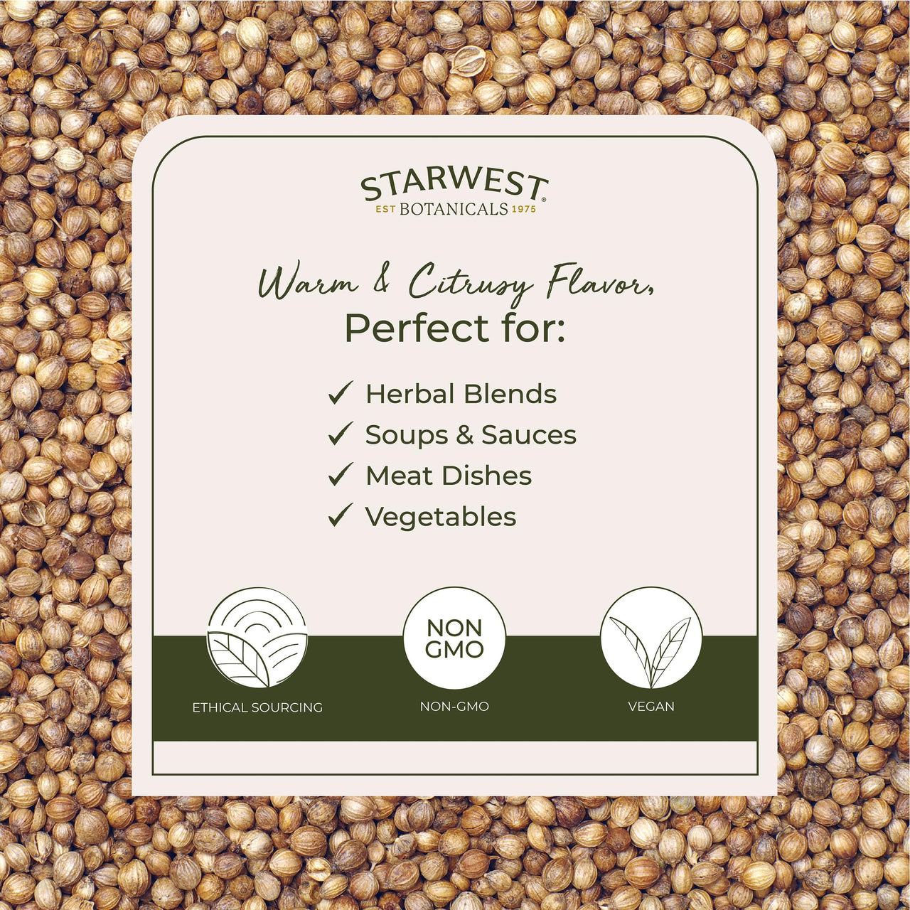 Starwest Botanicals Organic Coriander Seeds Whole - Seasoning Spice for Cooking, Pickling, Curry, & More, Dried Whole Seeds from the Cilantro Plant, Certified Kosher, Non-GMO - Bulk 1 lb Bag