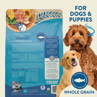Thumbnail for Earthborn Holistics Unrefined Smoked Salmon with Ancient Grains & Superfoods Dry Dog Food, 4-lb Bag