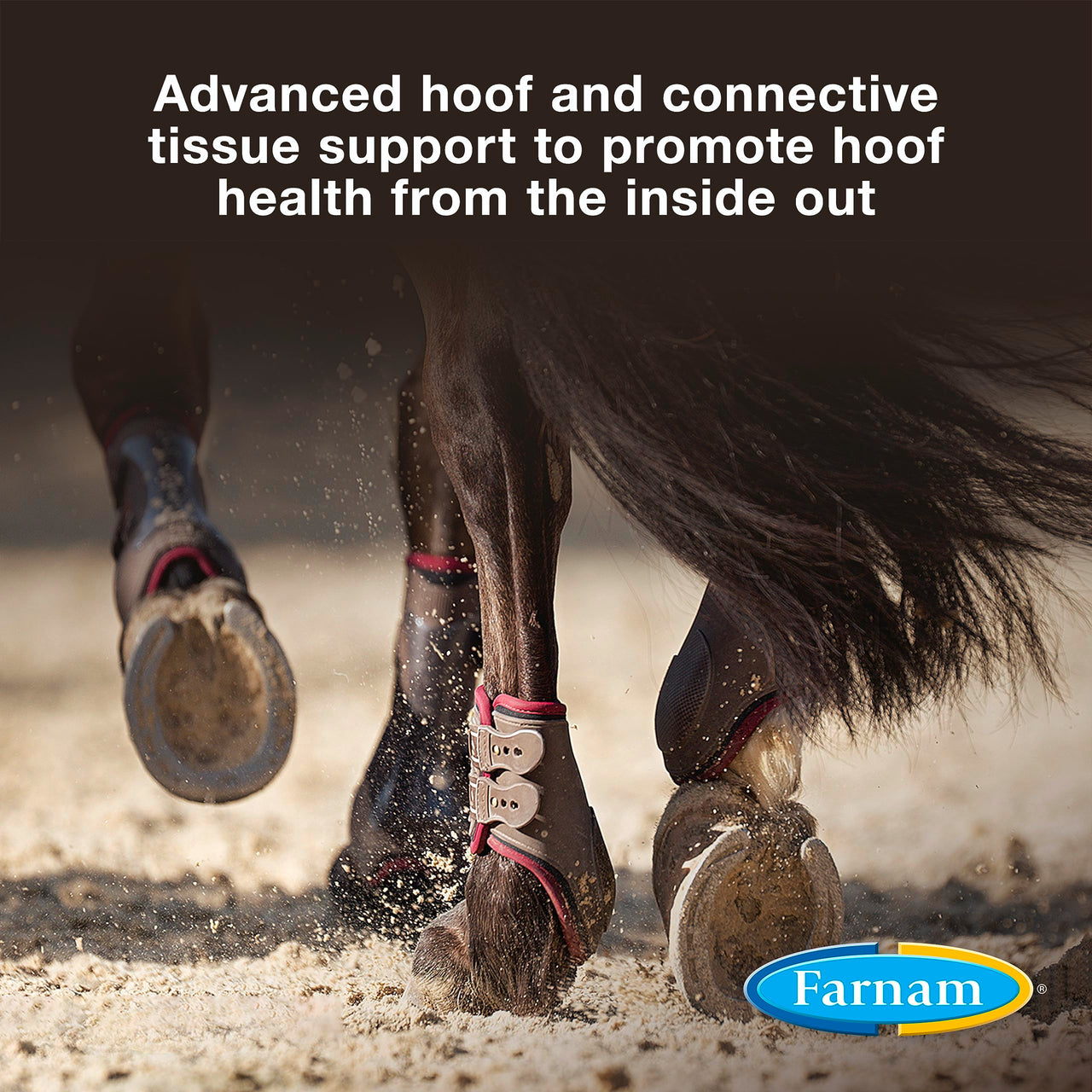 Farnam Horseshoer's Secret Extra Strength Hoof & Connective Tissue Biotin Supplement with Aminos for Strong, Healthy Hooves, Tendons & Ligaments, 7.5 lbs, 60-Day Supply