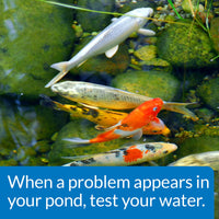 Thumbnail for API POND MASTER TEST KIT Pond Water Test Kit 500-Test