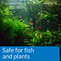 Thumbnail for API pH UP Freshwater Aquarium Water pH Raising Solution 16-Ounce Bottle
