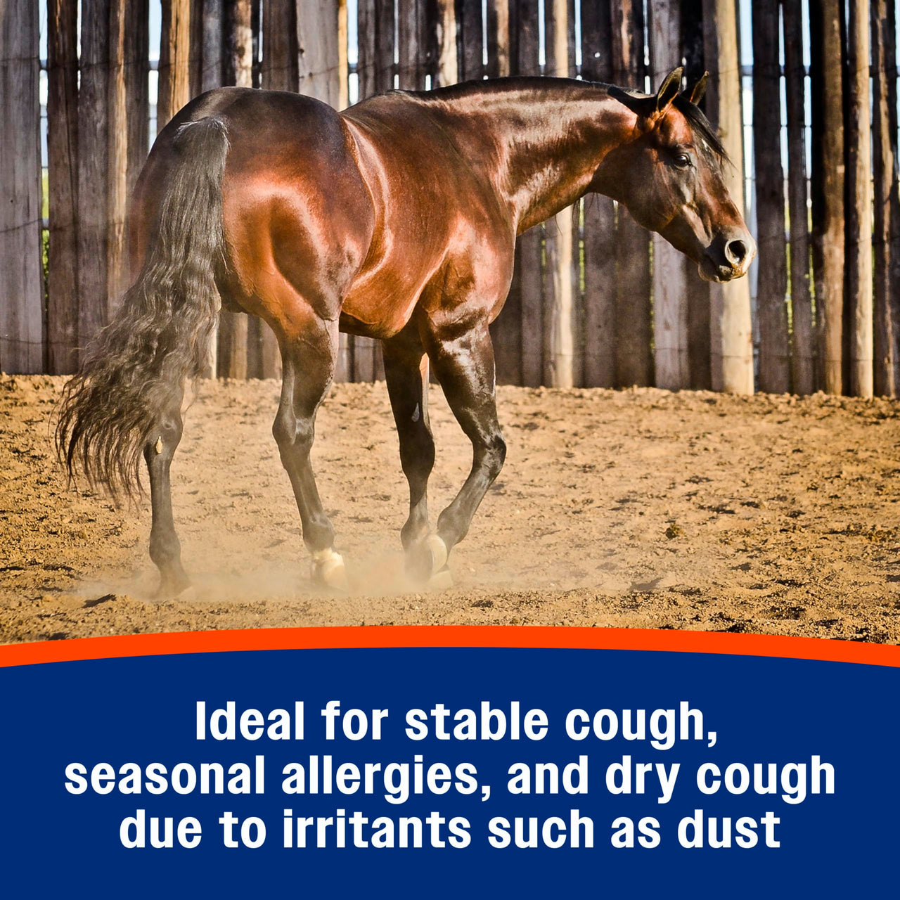 Farnam Cough Free Horse Supplement Pellets, Respiratory Support for Seasonal Allergies, Stable Cough, Lung Support Supplement, Show Safe, Herbal Formula, 2.5 lbs, 70-Day Supply