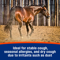 Thumbnail for Farnam Cough Free Horse Supplement Pellets, Respiratory Support for Seasonal Allergies, Stable Cough, Lung Support Supplement, Show Safe, Herbal Formula, 2.5 lbs, 70-Day Supply