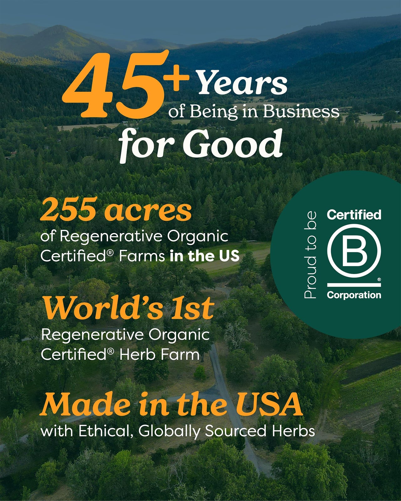 Herb Pharm Daily Immune Builder Herbal Immune System Defense - 4 Ounce