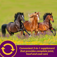 Thumbnail for Horse Health Joint Combo Hoof & Coat, Glucosamin, Chrondroitin, Vitamin C, MSM, Biotin, Lysine, ZInc, Omega 3 and 6 Fatty Acids, 64 day supply