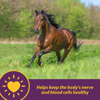 Thumbnail for Horse Health Vita B-12 Crumbles Supplement for Horses, Supports red Blood Cell Production for Peak Performance, 3 pounds, 48 Day Supply