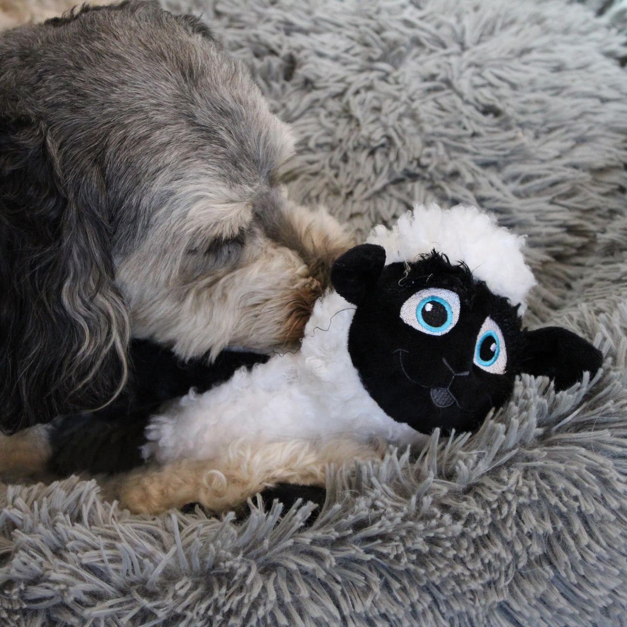 SPOT Baa Baa Black Sheep Plush Dog Toy - Cute and Cuddly Fleece Toy with Squeaker for Medium to Large Dogs and Puppies, 13in Black and White Lamb