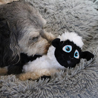 Thumbnail for SPOT Baa Baa Black Sheep Plush Dog Toy - Cute and Cuddly Fleece Toy with Squeaker for Medium to Large Dogs and Puppies, 13in Black and White Lamb