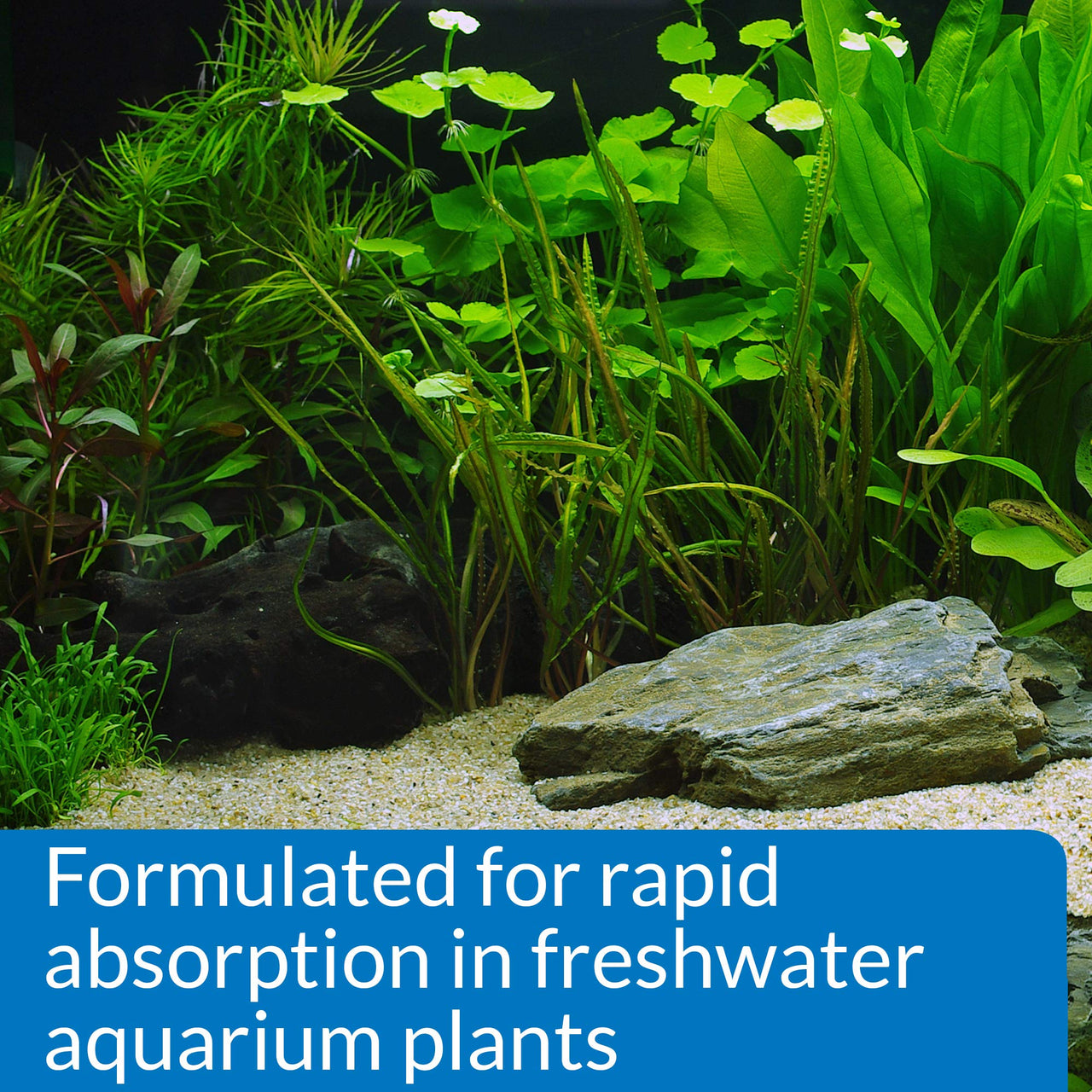 API LEAF ZONE Freshwater Aquarium Plant Fertilizer 8-Ounce Bottle